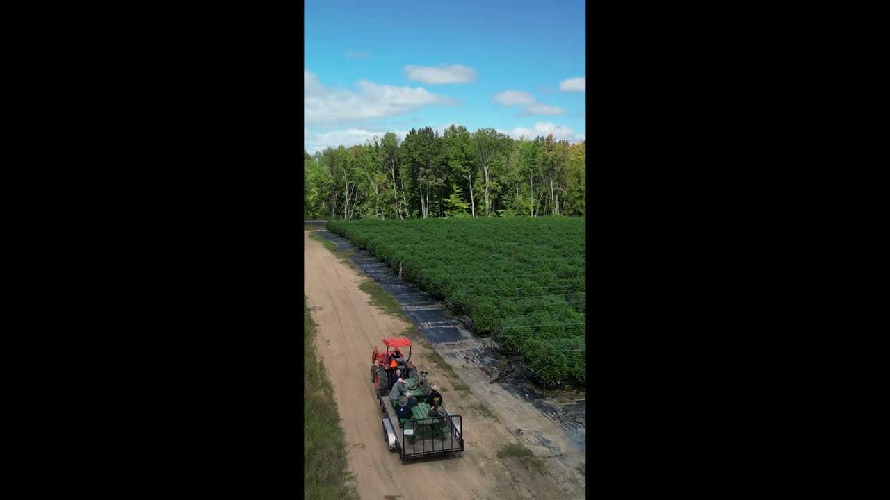 Quasi Farms From Above | Cannabis Cultivation in Northern Michigan