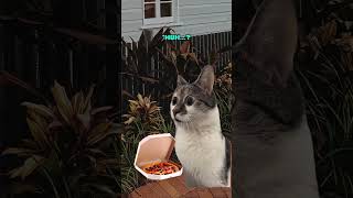 Thoughts That Will Snap Your Mind In Half 😎 PART 8 (CAT VERSION🐈) @Ryanhdlombard #shorts
