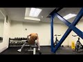 Fall/Winter Cut Day 34 Chest arms and abs 