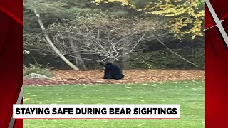 Recent bear sightings have some residents concerned for safety