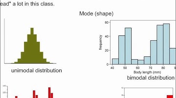 Ch 4 - Displaying Quantitative Data
