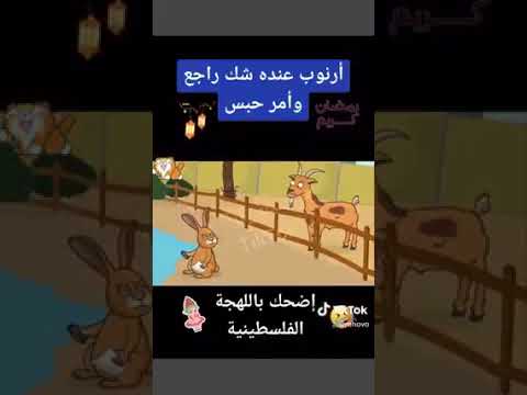 ارنوب راح يتحبس لانه عندة شيك راجع من البنك 