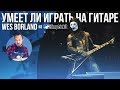 Умеет ли играть на гитаре Wes Borland из группы Limp Bizkit?