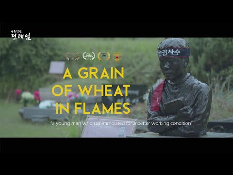 Why did the tailor commit suicide? | A Grain of Wheat in Flames〈기독청년 전태일〉| CBS Documentary
