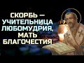 Бог и посылает нам скорби, чтобы вразумить... - Святитель Иоанн Златоуст