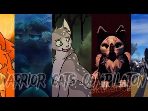 warrior cat icon｜การค้นหา TikTok