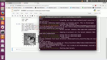 Preprocessing the data set forconvolutional neural network || dog-cat classifier using tensorflow
