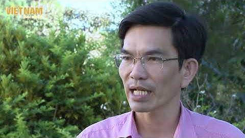 [VNHN] HIỆU QUẢ TỪ TRỒNG DƯỢC LIỆU DƯỚI TÁN RỪNG