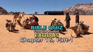 Bible Quiz Exodus  Chapter 16 Part 1