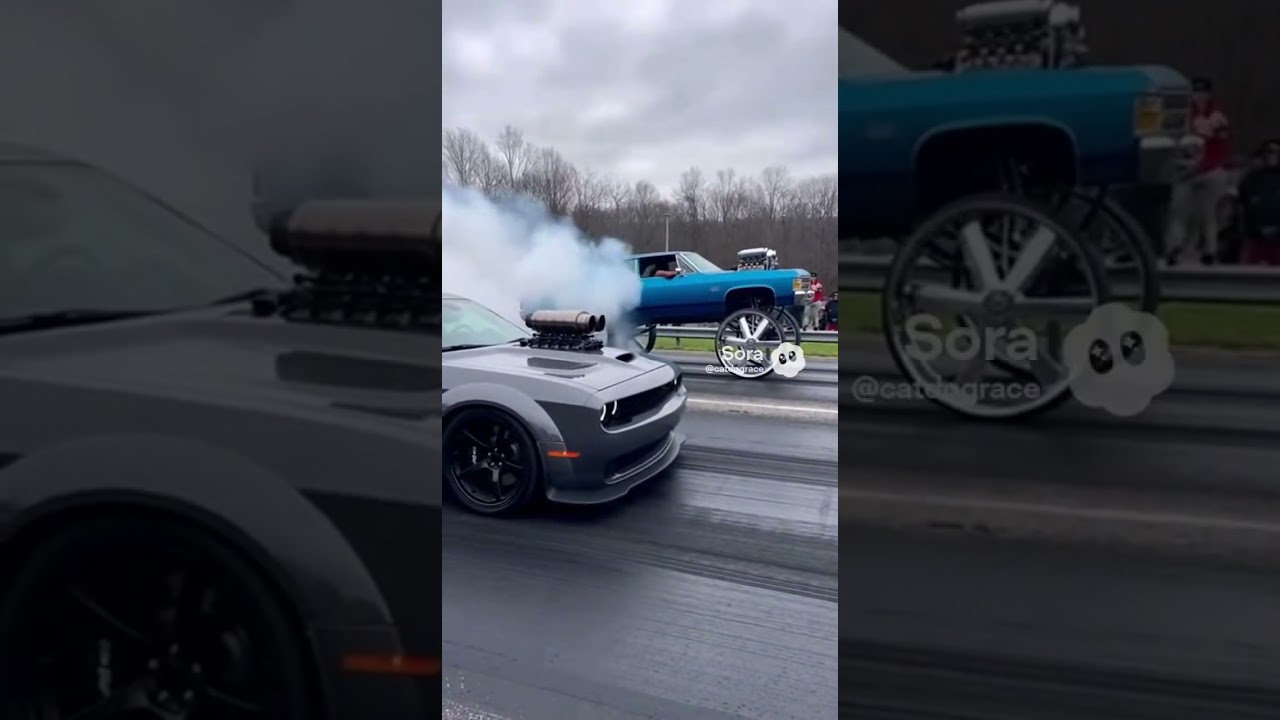 Жизнь донка 