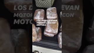 I Love Cannabis 24 work Is Required In Ketama Morocco