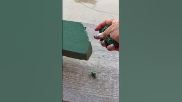 Crunchy Floral Foam ASMR #asmr #oddlysatisfying #satisfying #crunchyasmr #relaxing #fypシ゚viral