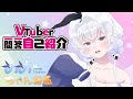 【自己紹介】Vtuber一問一答自己紹介【よねだめめこ/新人Vtuber】
