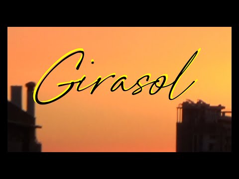 Perrogato -  Girasol 🌻 [Videoclip]