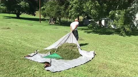 Using Grass Clippings For Mulch And Fertilizer In Our Garden