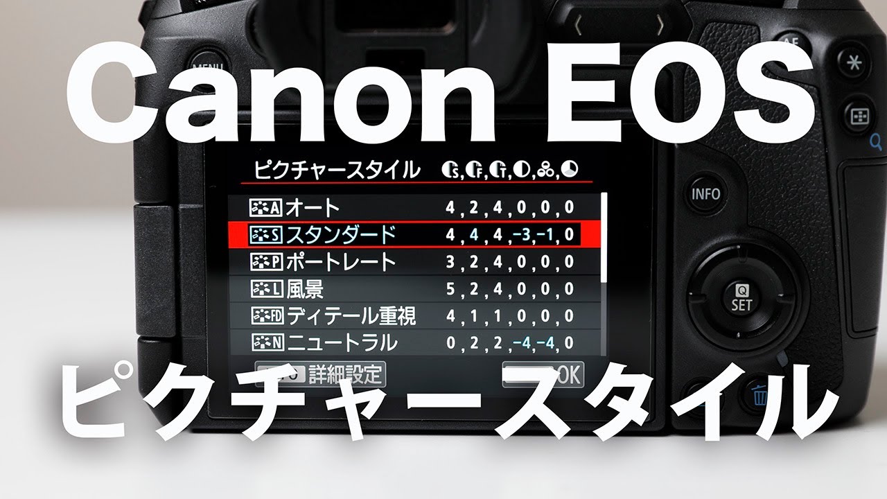 Canon Eosカメラ ピクチャースタイル設定方法 簡易rawデータセッティング他 Youtube