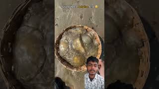 Rescue mission: 100+ jellyfish saved &amp; returned tothe sea. 🥹