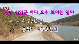 전남 신안군 바다,호수 보이는 풍광이  그림같은 임야