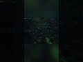 Mysterious Black and White Fish School in Murky Depths