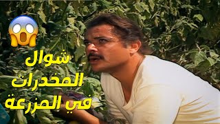 ابو المعاطي اكتشف شوال مخدرات في المزرعة .. والكمين اتجهز للعصابة! 😱😰