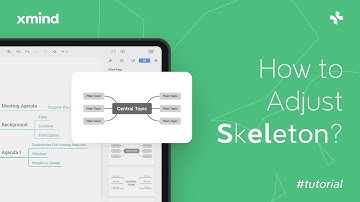 How to Adjust the Structure in Xmind? | Feature Tutorial