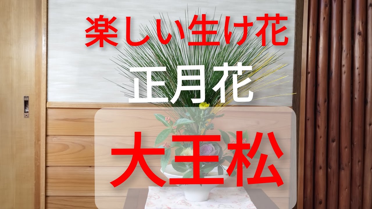【楽しい生け花】お正月花を松の王様 大王松で生けてみました 【大王松】