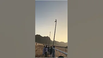شنار بطل 3كيلو المالك عبدالعزيز فاضل الخمعلي الخيال عمر لافي 