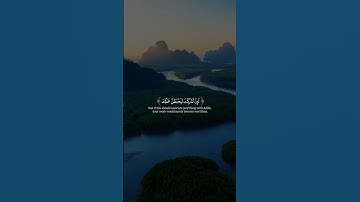 الله خلق كل شيء #تلاوة_خاشعة #تلاوة_مميزة #تلاوة_هادئة #قرآن #قران_كريم #تلاوات #تلاوة #آية