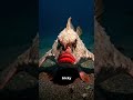 This Bizarre Fish WALKS on the Ocean Floor! #shorts #deepsea #weirdanimals #oceanmysteries