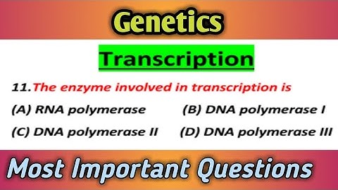 MCQs on Transcription : Central Dogma : Most Important questions