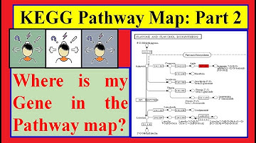 Simplest method to Draw KEGG Pathway Map Part02