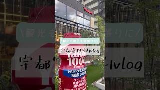 【観光も餃子も🥟】宇都宮日帰りvlog🍋#宇都宮餃子 #日帰り旅行 #栃木旅行 #二荒山神社 #大谷観音 #大谷資料館 #松が峰教会 #ヤクルトカフェ