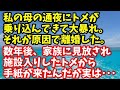 因果応報　私の母の通夜にトメが乗り込んできて大暴れ。それが原因で離婚した。数年後、家族に見放され施設入りしたトメから手紙が届いたんだが実は･･･