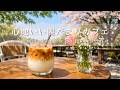 【春の癒しBGM】心地いい春のテラスカフェ🌸 陽だまりの中で過ごす穏やかなひとり時間｜Relaxing Piano & Guitar 120min｜リラックス・読書・勉強・作業用音楽