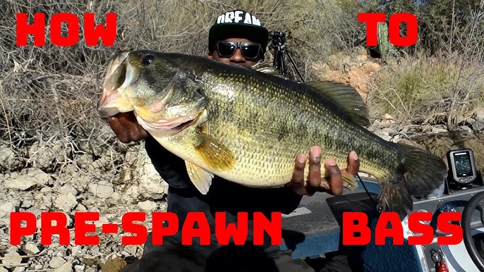 Our FAVORITE Baits To Catch BIG BASS In APRIL!! Showing Off A SPECIAL  Technique!! 