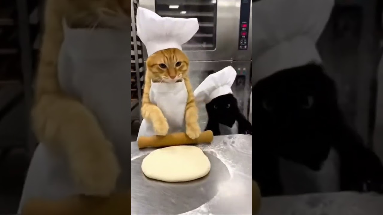 XXL XXL XXL XXL FREESTYLE 2024 XXL 2024 Xxwd5000xa XXL XXL XXLXXLFREESTYLE - YouTube Auto PHP Script