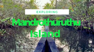 Mandrothuruthu Island The Hidden Gem of Kerala|| മൻറോതുരുത്ത്