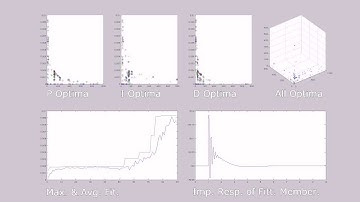 Evolutionary Optimised PID Control of Inverted Pendulum Using Wiimote Camera.