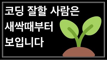프로그래밍 잘 하는 사람들이 갖고있는 공통점이 한 가지 있습니다.