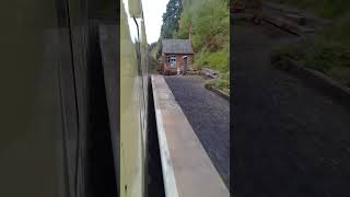 Class 37 races through Eardington halt Oct diesel bash 2025 #severnvalleyrailway