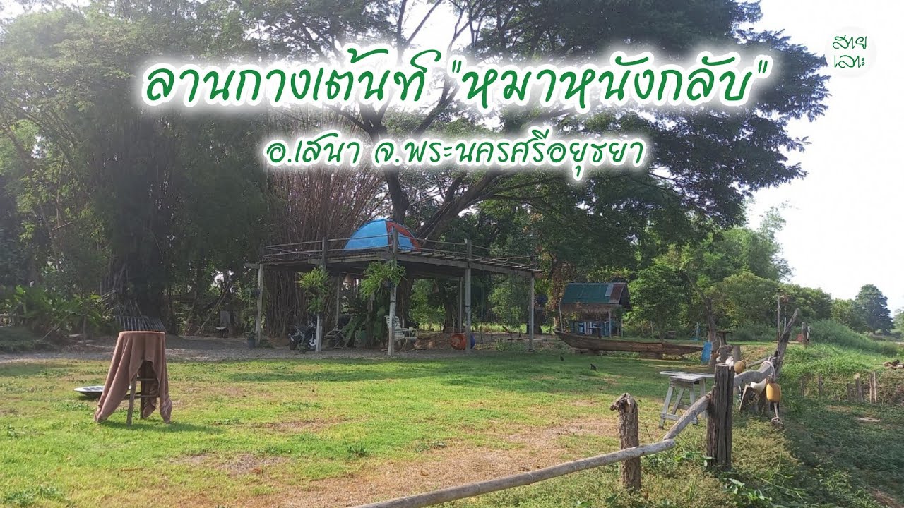 ลานกางเต้นท์หมาหนังกลับ อ.เสนา จ.พระนครศรีอยุธยา