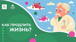 Как продлить жизнь? / ПостНаука