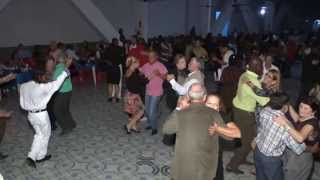 Download Lagu Bailão com Serginho Toledo e Banda no Paz e Harmonia. MP3 Download Lagu Bailão com Serginho Toledo e Banda no Paz e Harmonia. MP3