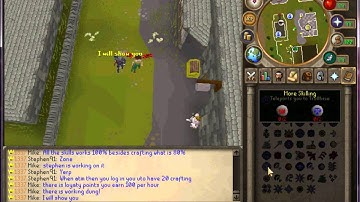 RevolutionX New Rsps, Staff Needed, 24/7 Vps Hosted 317!