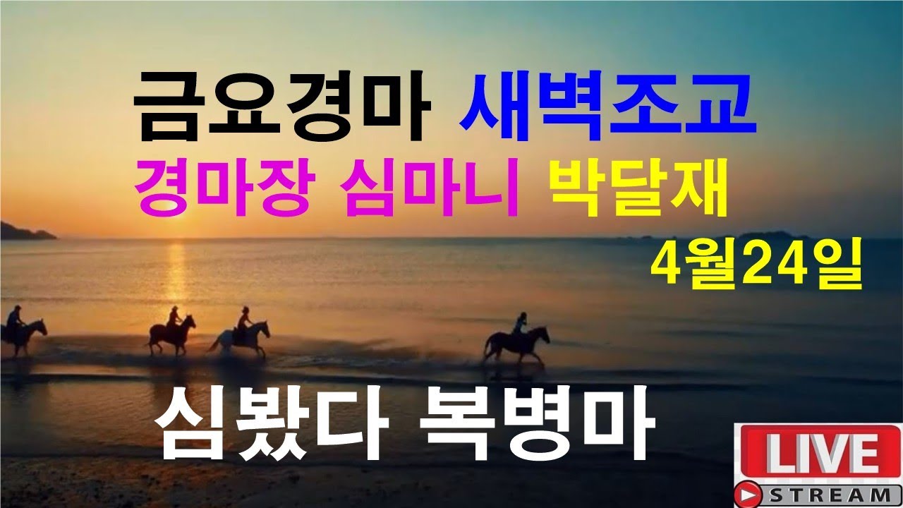 4월24일 금요경마  새벽조교 분석방송 경마예상 추천마번 복병마  라이브 방송 경마장 심마니 박달재 서울경마 부경경마 제주경마 경주분석 추천마번 예상방송 박달재