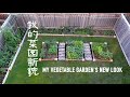 我的菜园新貌 （建菜床、搭架、炼苗、移苗、倒春寒、今天的菜园） MY VEGETABLE GARDEN'S NEW LOOK