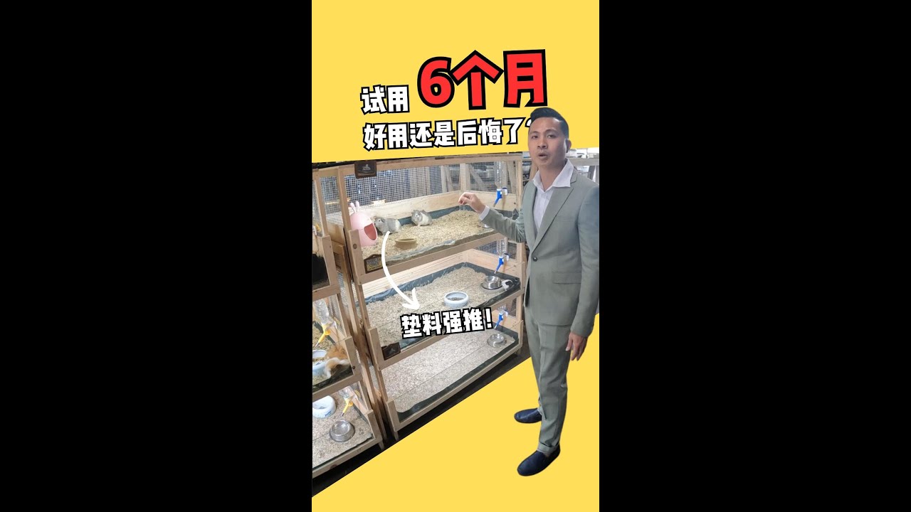 试用6个月定制木笼| 好用还是后悔了? - YouTube