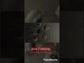 🎤 Мій кавер на Lely45 — На люстрі 💫Спробуй розібрати слова! @lely45_