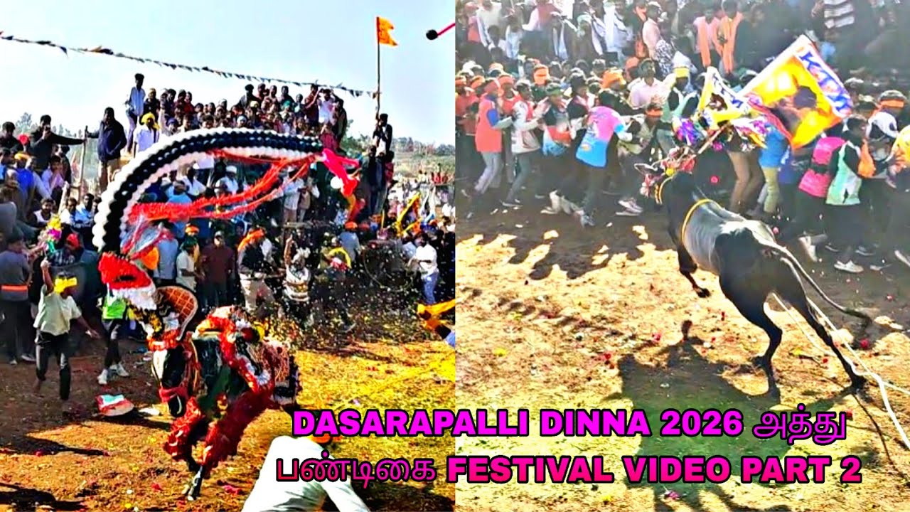 DASARAPALLI DINNA 2026 அத்து பண்டிகை FESTIVAL VIDEO PART 2 