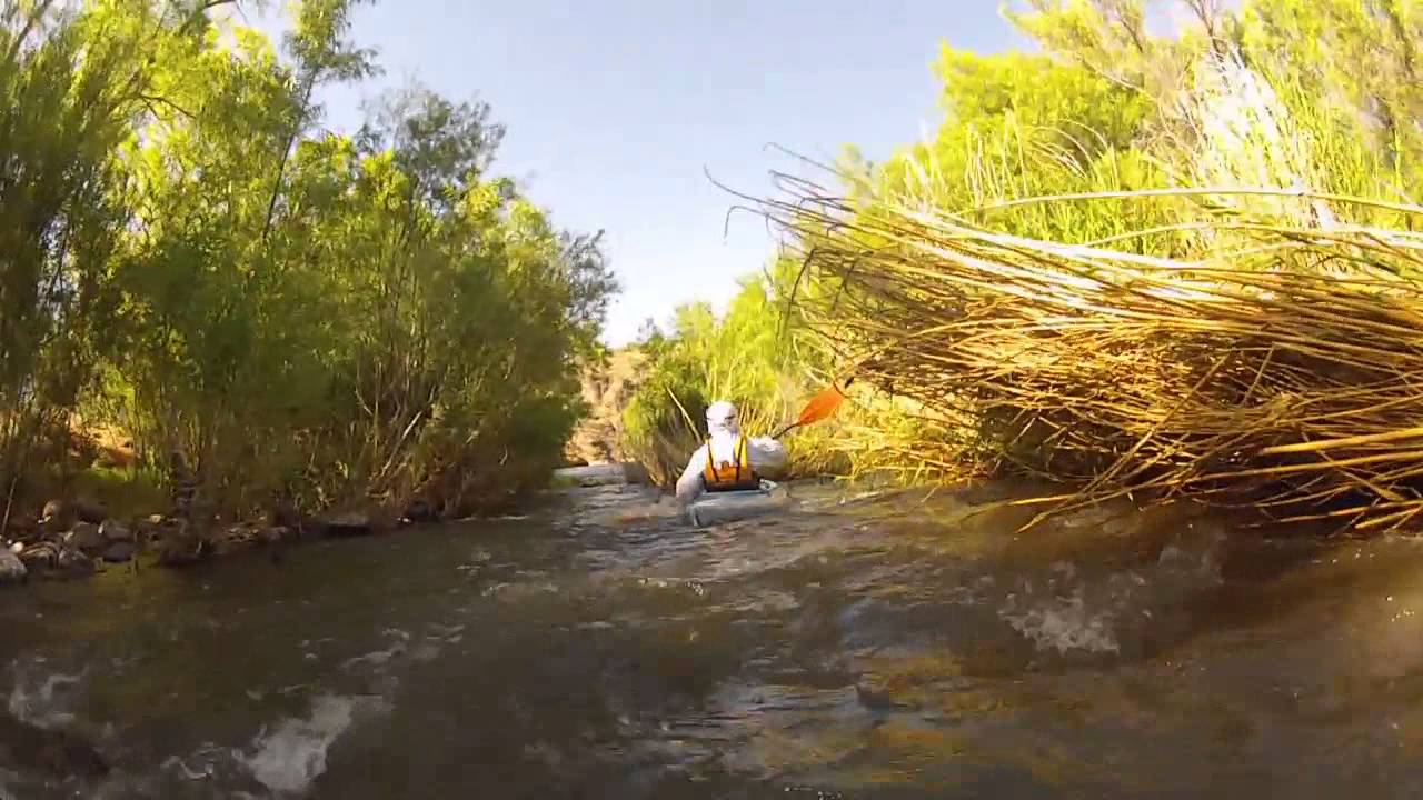 Kayaking the Verde River Below Horseshoe Dam YouTube